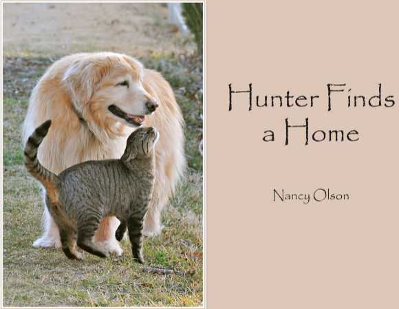 Hunter Finds a Home