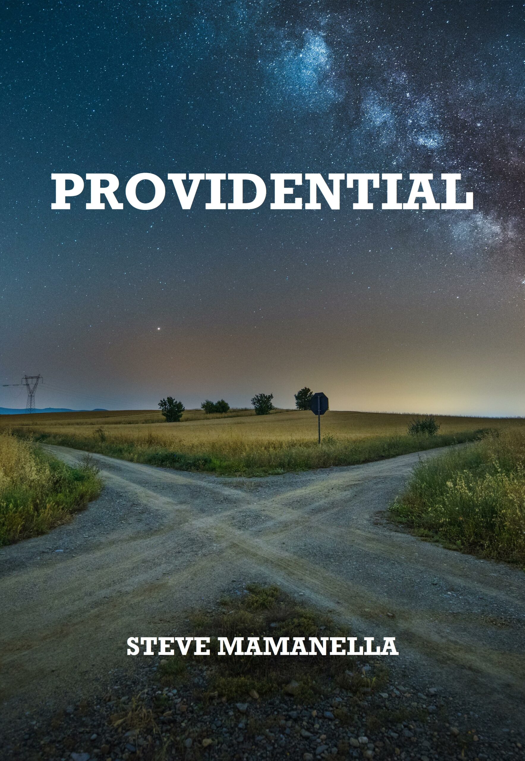 Providential by Steve Mamanella