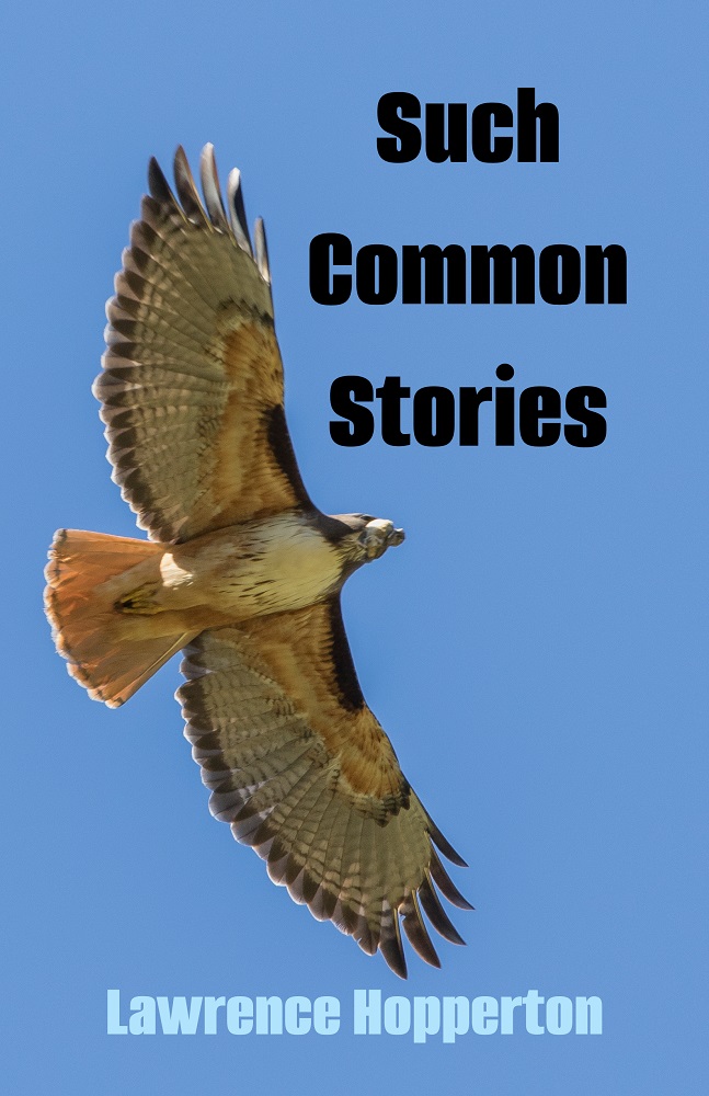 Such Common Stories by Lawrence Hopperton