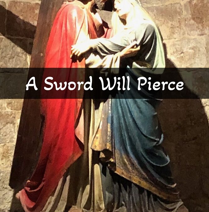 A Sword Will Pierce by L. Blosser-Medley