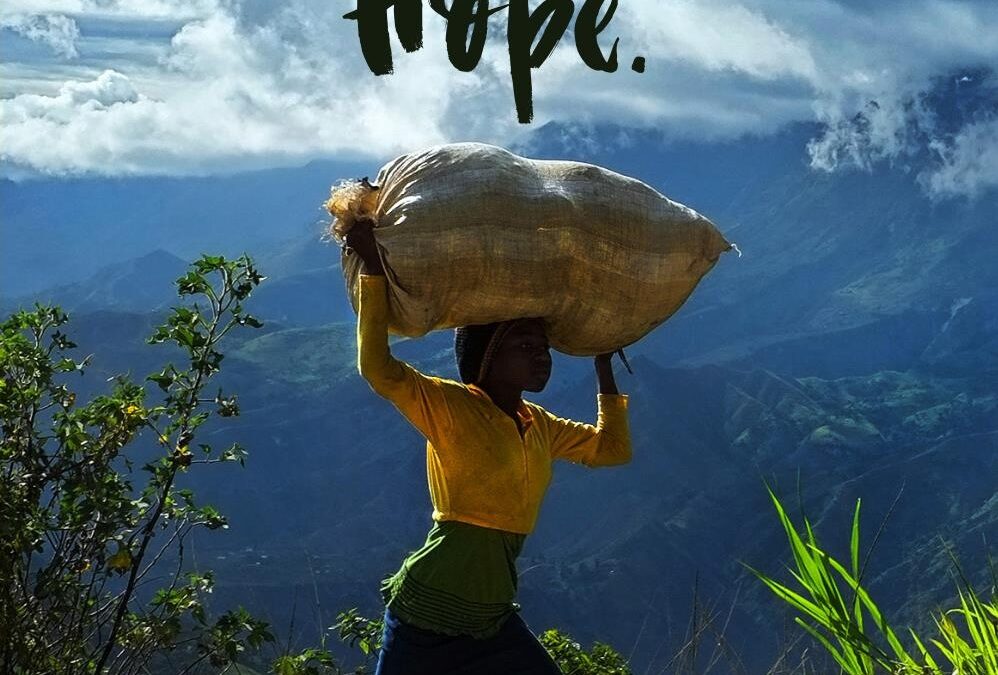 There be Hope: Islands of Hope, My Memoir of Haiti, & The Hopeful Coconut