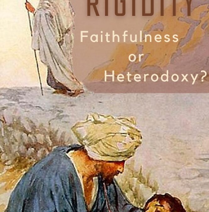 Rigidity: Faithfulness or Heterodoxy by Pedro Gabriel