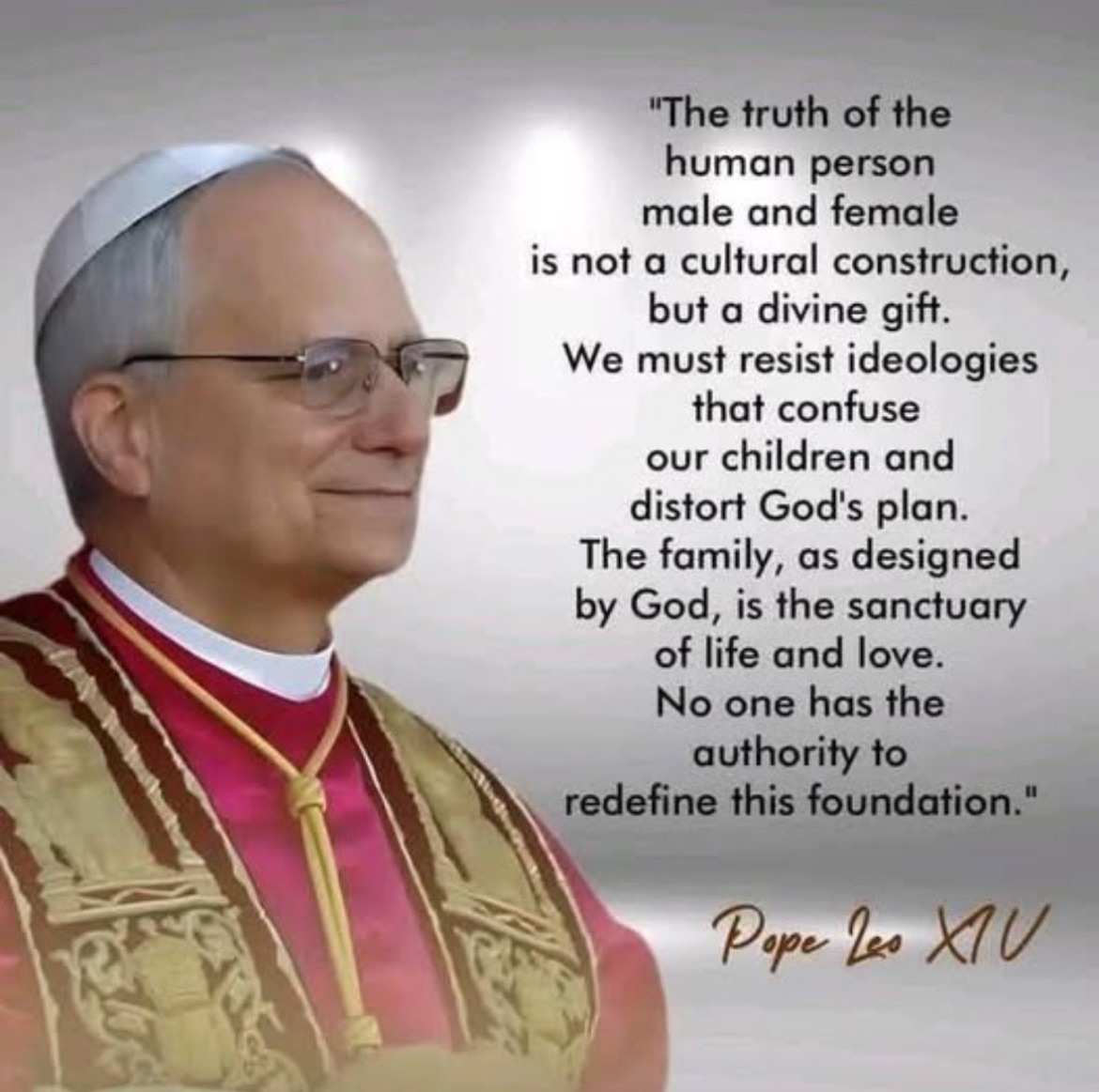 Pope Leo on Gender Ideology