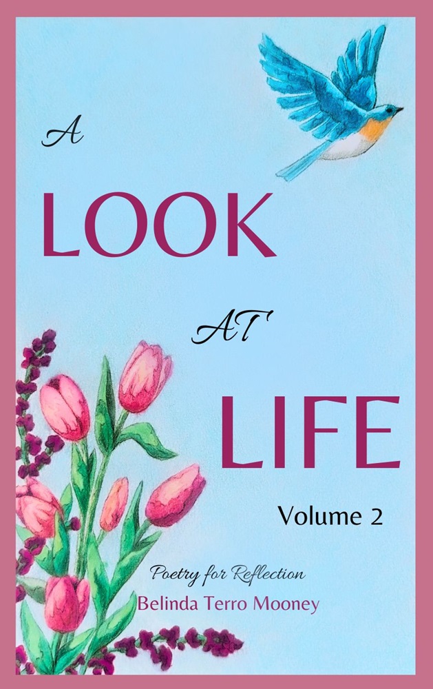 A Look at Life: Poetry for Reflection, Vol. 2 by Belinda Terro Mooney