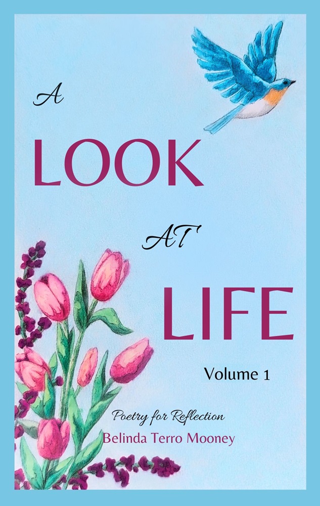 A Look at Life: Poetry for Reflection, Vol. 1 by Belinda Terro Mooney