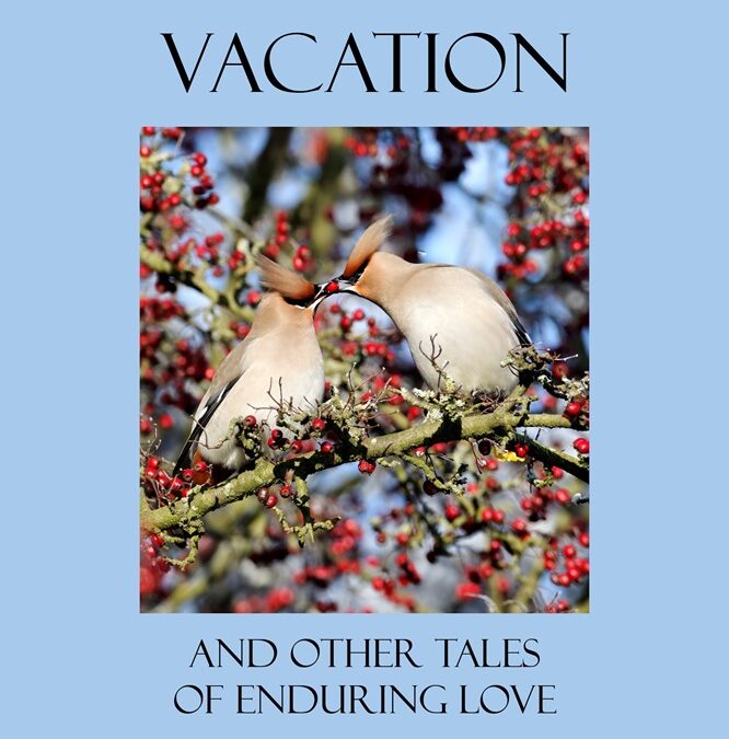 Vacation and Other Tales of Enduring Love by Glenn Morrow