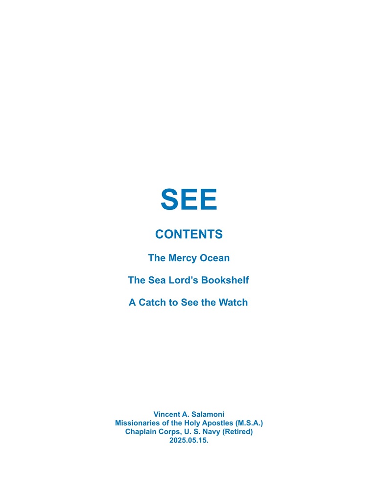 See by Vincent Salamoni