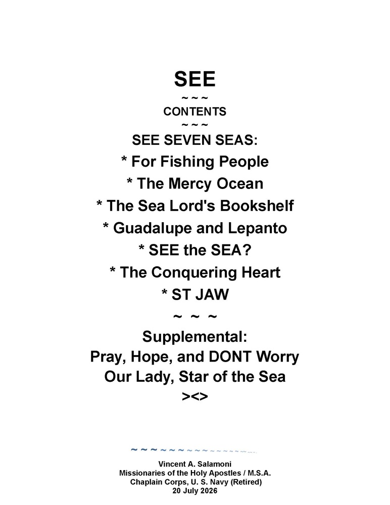 See by Vincent Salamoni