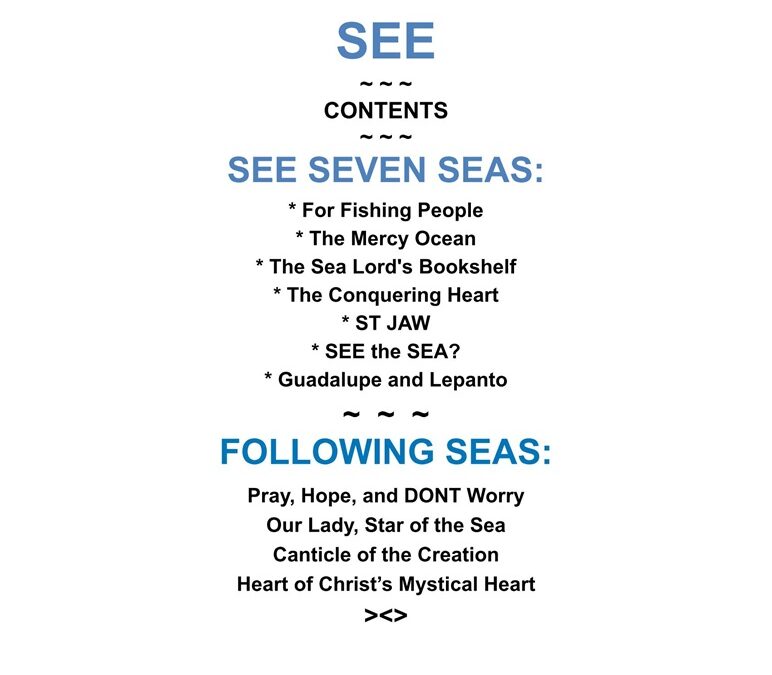 SEE SEVEN SEAS and FOLLOWING SEAS by Vincent Salamoni