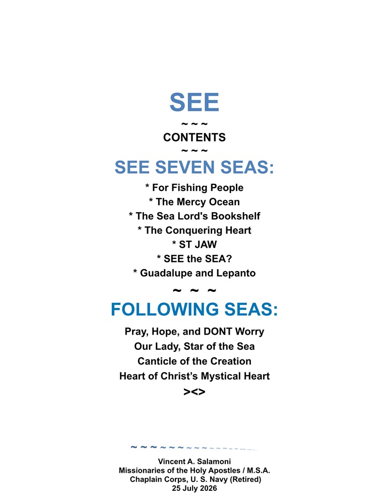 See by Vincent Salamoni