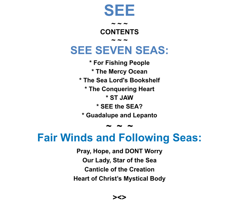 SEE SEVEN SEAS and FOLLOWING SEAS by Vincent Salamoni