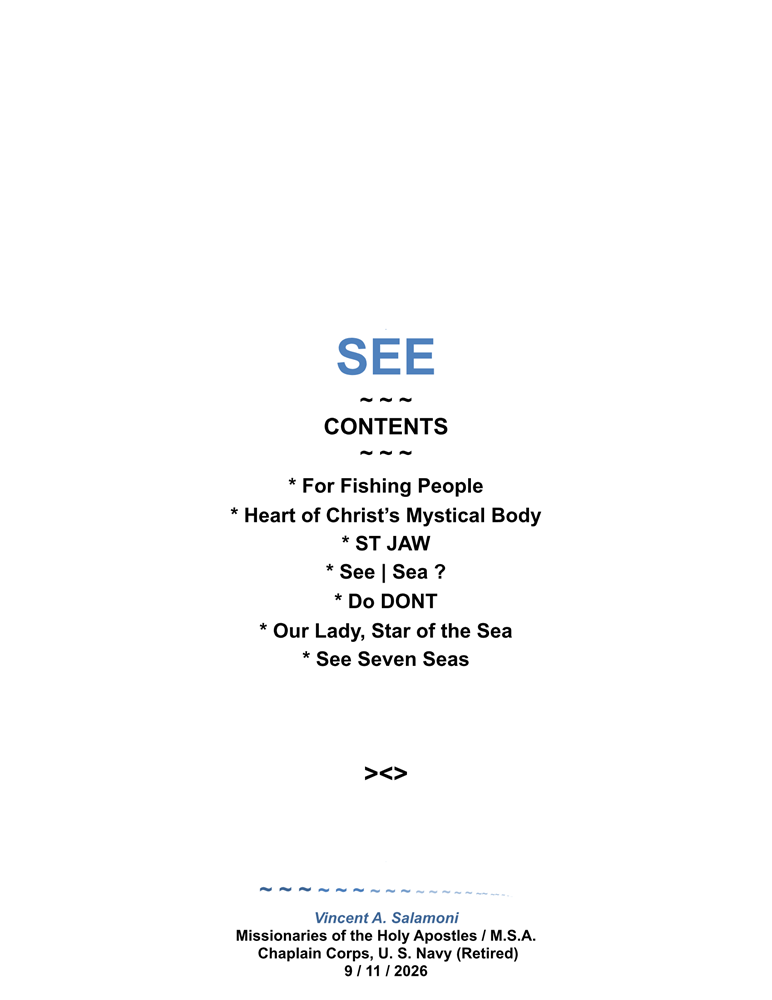 SEE SEVEN SEAS and FOLLOWING SEAS by Vincent Salamoni