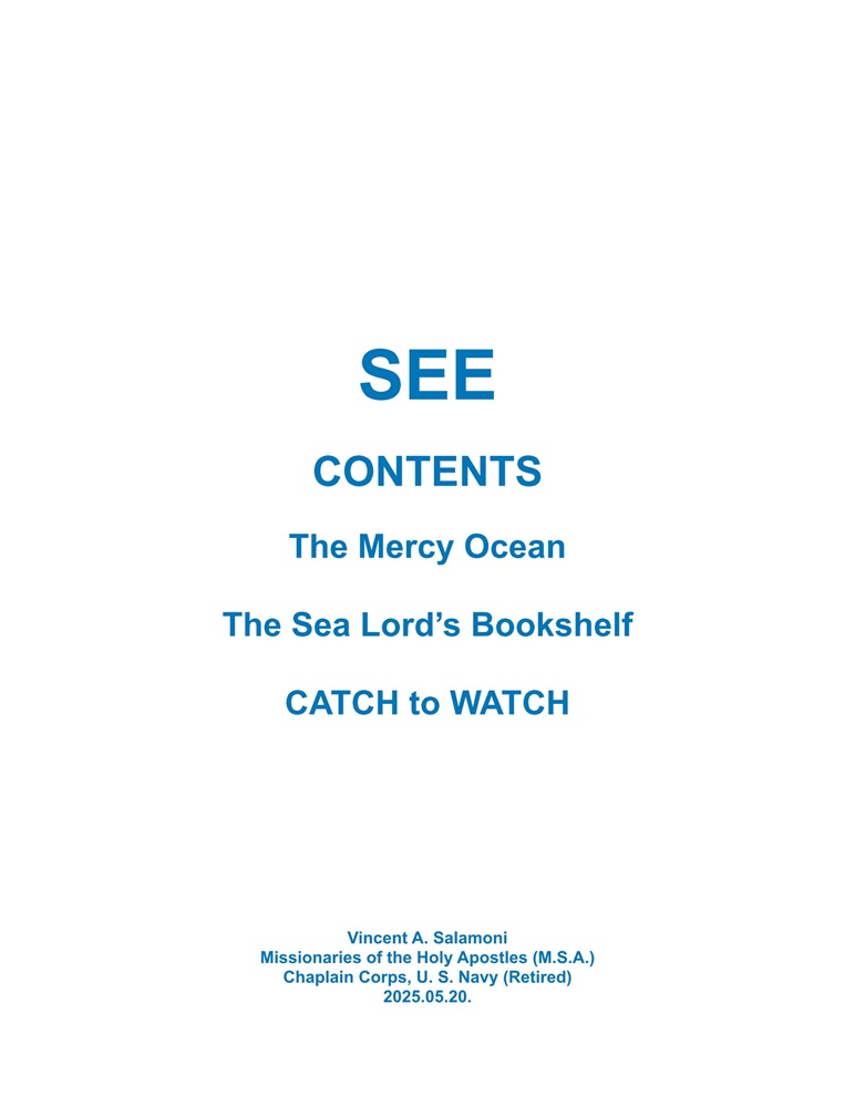 See by Vincent Salamoni