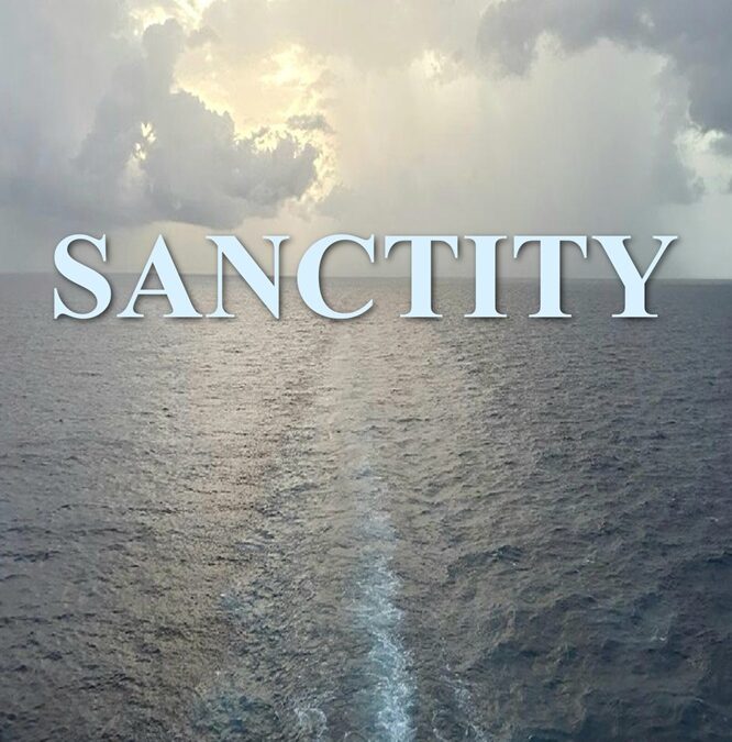 Sanctity by Michael Bluvas