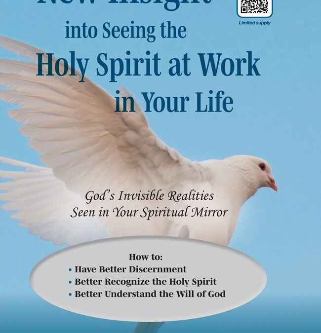 New Insight into Seeing the Holy Spirit at Work in Your Life: God’s Invisible Realities Seen in Your Spiritual Mirror—How to Have Better Discernment; Better Recognize the Holy Spirit; Better Understand the Will of God by Annette Hills