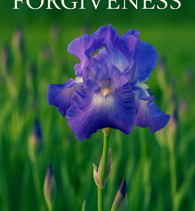 Journey to Forgiveness by Regina Civiletti