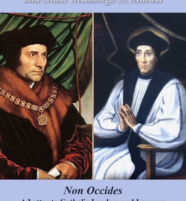 Being Catholic and Other Meanings of Murder: Non Occides–A Letter to Catholic Leaders and Lawyers and Principally Pope Leo XIV by Donald G. Boland