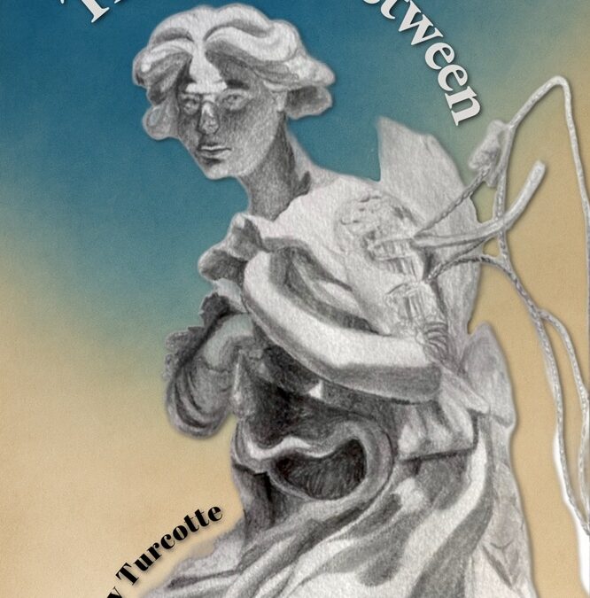 The Space Between by Gerry Turcotte