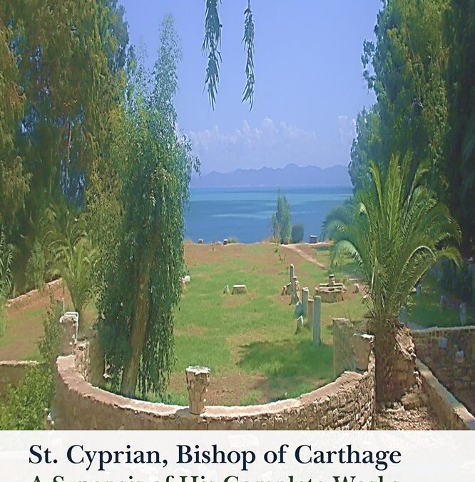 St. Cyprian, Bishop of Carthage: A Synopsis of His Complete Works by Anne Stokes