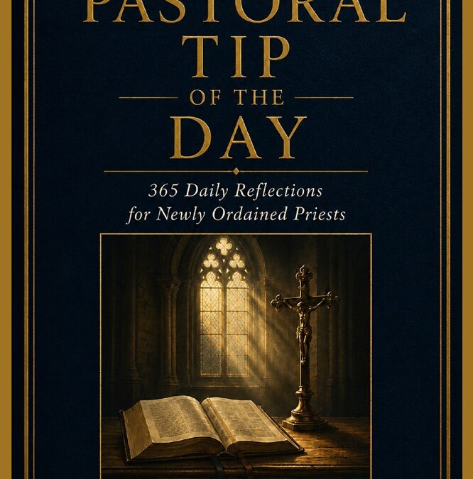 Pastoral Tip of the Day: 365 Daily Reflections for Newly Ordained Priests by Rev. Shane Deman, S.T.D.