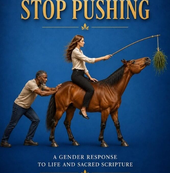 Stop Pushing: A Gender Response to Life and Sacred Scripture by Fr. Eugen Nkardzedze