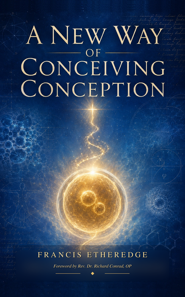 A New Way of Conceiving Conception Web Cover 100526