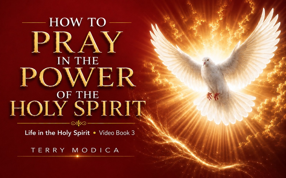 How to Pray in the Power of the Holy Spirit: Life in the Holy Spirit, Video Book 3 by Terry Modica